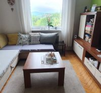 A comfortable living room with a wood-patterned floor in a 3-room apartment.