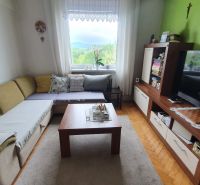 Living room in a three-room apartment with a sofa and wooden decor flooring.