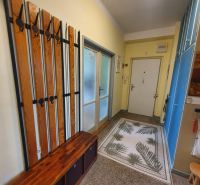 A hallway in a 3-room apartment with flooring and storage spaces.