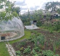 The garden of a family house in Leopoldov with a greenhouse, plants, and a paved walkway.