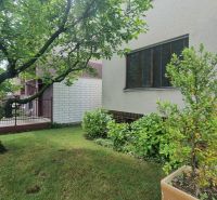 A garden by a family house in Leopoldov with dense bushes and a tree in the green lawn.