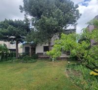 A family house in Leopoldov surrounded by a garden with a lawn and trees.
