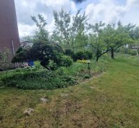 A garden at a family house in Leopoldov with a modern green greenhouse and trees.