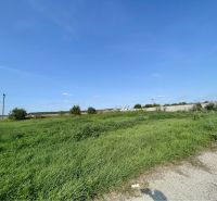 Greenery in the field in Kostolné Kračany at Amadeho Kračany near the production facilities.