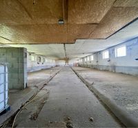 The interior of manufacturing spaces with a concrete floor and windows on the walls.