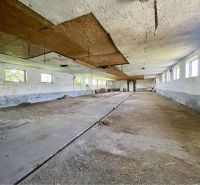 Empty production spaces with concrete floors and windows overlooking greenery.