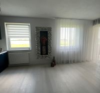 Spacious living room with wood-decor flooring and a decorative frame in a 3-room apartment.