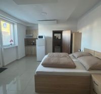 A room with basic amenities, a double bed, and a kitchenette.