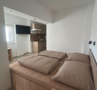 A room with a bed, a kitchenette, and a floor with a wooden decor.