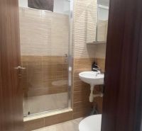 A bathroom in a building with a shower, a sink, and a floor with a wooden decor.