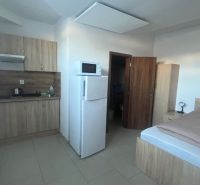 The interior of a building with a kitchenette, refrigerator, microwave, and bed in light shades.