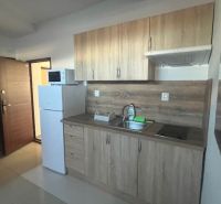 Interior of a kitchen with wood-patterned flooring and kitchen cabinets in a building.