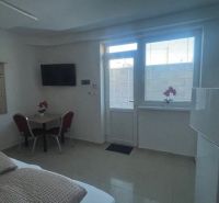 A room with a television, table, chairs, window, and a flower on the windowsill.