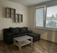 Living room in a one-bedroom apartment with a wooden decor floor and a sofa.
