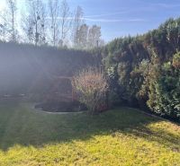 The garden of a family house in Gabčíkovo with a small pond and dense hedges.