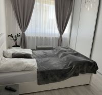 Bedroom with a bed, plant, and curtains, floor with wooden decor in a family house.