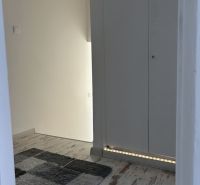 A hallway in a family house with a wooden decor floor and a gray carpet.