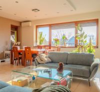 Living room with a sofa, glass table, and plants in a family house.