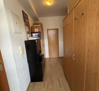 A hallway with a wooden decor floor, a wardrobe, and a ceiling light in a 3-room apartment.