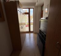 A narrow hallway with cabinets and a floor with a wooden decor in a 3-room apartment.