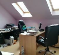 Offices with wood-patterned flooring, containing work desks and skylights.