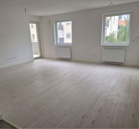 A bright living room with wood-patterned flooring and large windows in a three-room apartment.