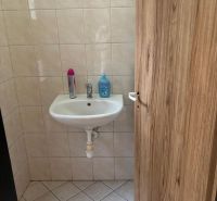 Small bathroom with a sink, tiles, and a door with a wooden decor.