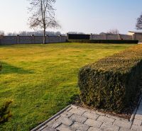 Lawn and trimmed hedge at a family house in Dolný Bar.