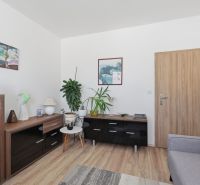 Living room in a family house with a wooden decor floor, decorations, plants, and furniture.