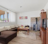 Living room in a family house with a sofa, fireplace, and wooden decor flooring.