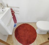 A bathroom in a family house with a white sink, toilet, and red rug.