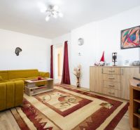 A living room in a family house with a mustard-colored sofa, a decorative carpet, and wooden decor.