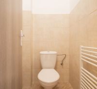 Toilet in a family house with tiles and a heating ladder.