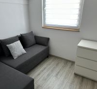 Gray sofa and white dresser in a studio apartment with wood-patterned flooring.