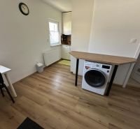 A studio apartment with a wood-patterned floor, a washing machine, and a table under the window.
