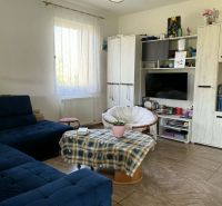 Living room in a family house with a sofa, television, and a table with a flower.