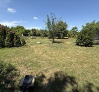 A garden at a family house in Dolný Štál with a lawn and trees.