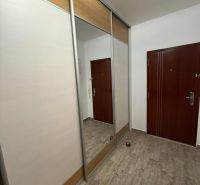 In the 3-room apartment, there is a built-in wardrobe with a mirror and doors, and a floor with a wooden decor.