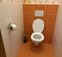 A bathroom in a 3-room apartment with orange tiles and a toilet.