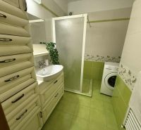 A bathroom in a 3-room apartment with a shower, washing machine, and decorative tiles.