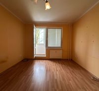 A room in a one-bedroom apartment with light-colored walls and a floor with a wood decor.