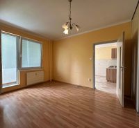 A room with a wooden decor floor, a door, and a window in a studio apartment.