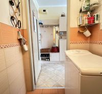 A bathroom in a studio apartment with a washing machine and storage shelves.