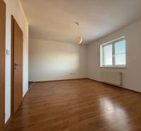 A room in a 3-room apartment with a wood-patterned floor and a large window.