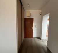Entrance hallway in a 3-room apartment with a wooden decor floor and a wardrobe.