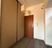Entrance hallway with a sliding wardrobe and flooring with a wood decor in a 3-room apartment.