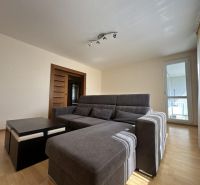 Living room in a 3-room apartment with a sofa and wooden decor flooring.