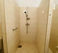 A shower corner with tiles in a studio apartment.