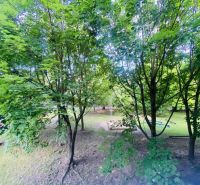 Greenery in Dunajská Streda with a sandbox and a swing, surrounded by trees.