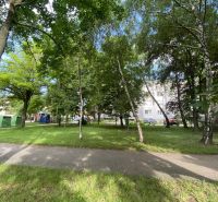 A park with deciduous trees and a path in Dunajská Streda near the building.